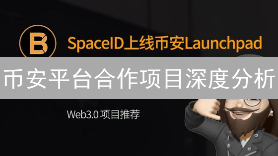 币安平台合作项目深度分析：爱好者视角
