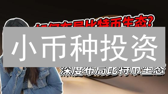 小币种投资：高收益与高风险并存，如何掘金？