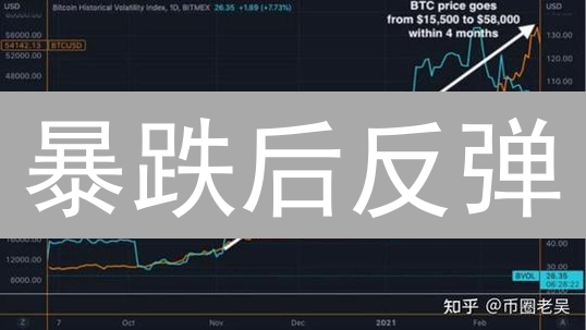 暴跌后反弹？速看加密货币投资者的生存指南！
