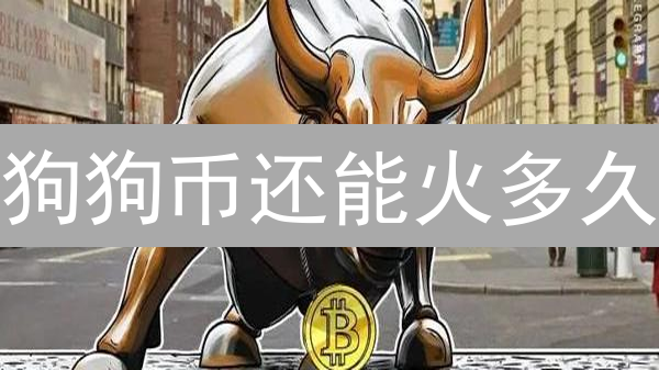 狗狗币还能火多久？社区驱动的迷因币未来发展全景解读