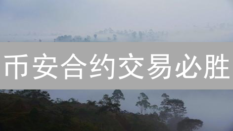 币安合约交易必胜：支撑位压力位实战技巧，新手也能赚！
