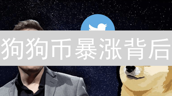 狗狗币暴涨背后：现在入场还晚吗？深度解析！