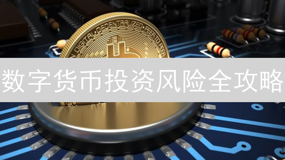 数字货币投资风险全攻略：2024年新手必看避坑指南，速看！