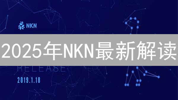 2025年NKN最新解读：如何利用区块链技术构建更快的互联网？