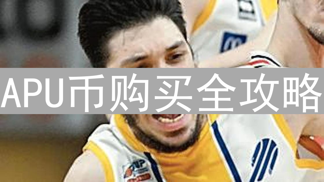 APU币购买全攻略：中心化与去中心化交易所对比分析