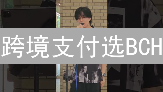 跨境支付选BCH？手续费对比：今天就能省钱！优势与挑战分析