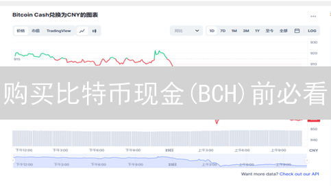 购买比特币现金(BCH)前必看：五大风险与投资策略！