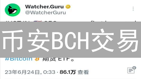 币安BCH交易：六大优势助你轻松掘金！