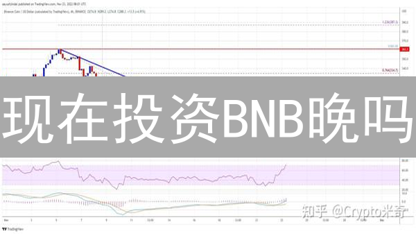 现在投资BNB晚吗？2024年币安币最新价值分析与未来潜力评估