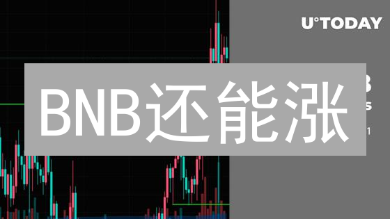 BNB还能涨？三大催化剂，带你掘金币安生态！