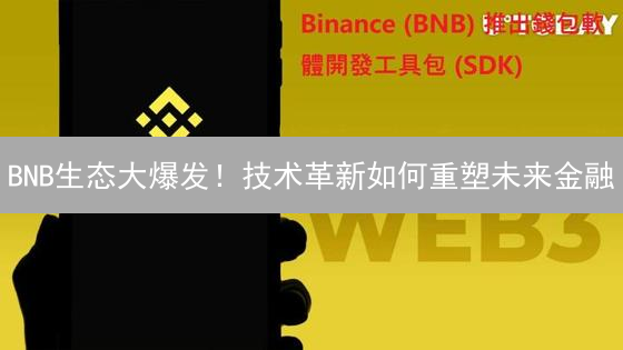 BNB生态大爆发！技术革新如何重塑未来金融？