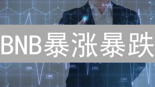 BNB暴涨暴跌？一文看懂币安币未来潜力！