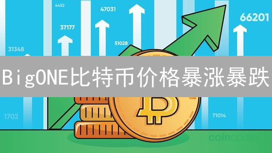 BigONE比特币价格暴涨暴跌？2024年投资必看分析！