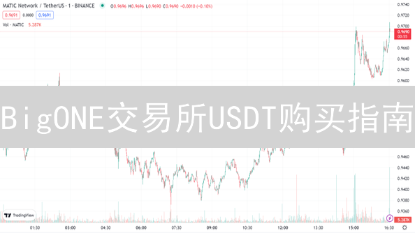 BigONE交易所USDT购买指南：安全便捷获取泰达币