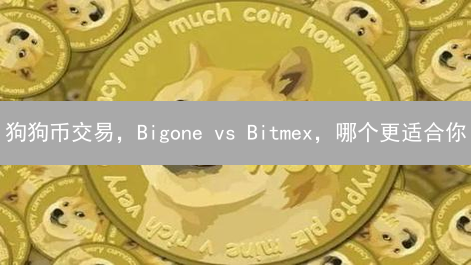 狗狗币交易，Bigone vs Bitmex，哪个更适合你？
