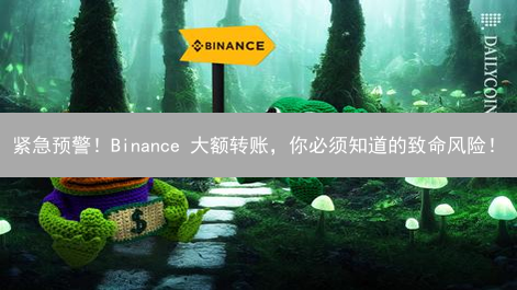 紧急预警！Binance 大额转账，你必须知道的致命风险！