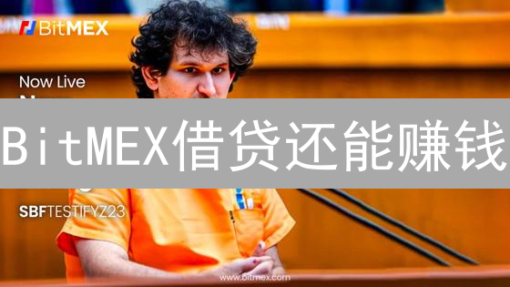 BitMEX借贷还能赚钱？新手也能学会的盈利技巧！