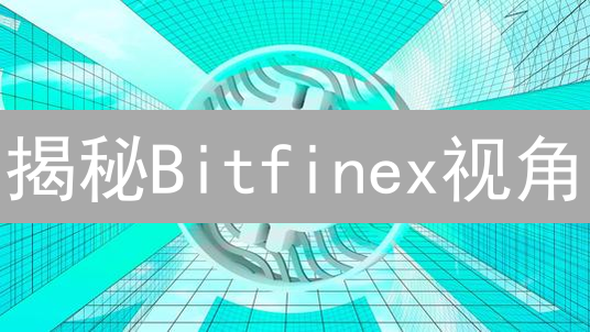 揭秘Bitfinex视角：加密货币剧烈波动，如何应对？