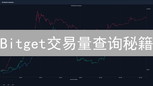 Bitget交易量查询秘籍：新手也能秒懂的4大技巧！