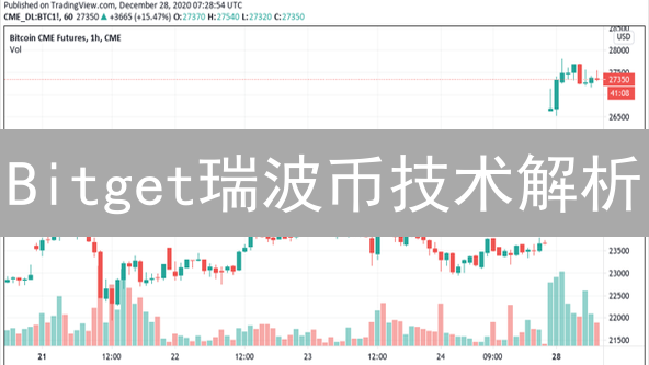 Bitget瑞波币技术解析：跨境支付未来展望