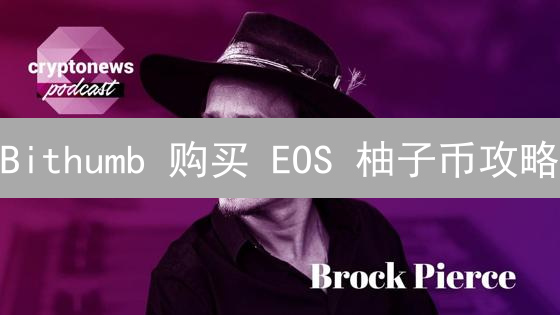 Bithumb 购买 EOS 柚子币攻略：新手也能轻松上手！