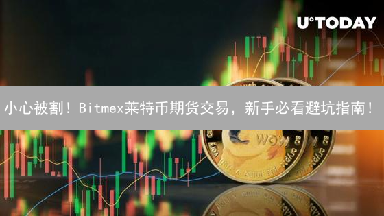小心被割！Bitmex莱特币期货交易，新手必看避坑指南！