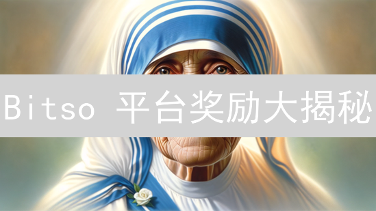 Bitso 平台奖励大揭秘：新手也能轻松赚币？