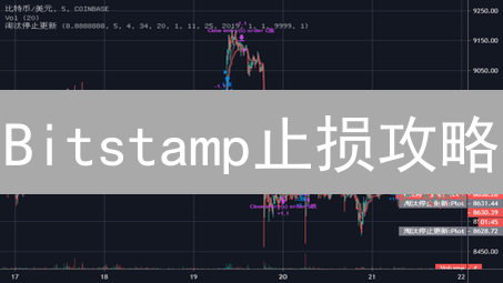 Bitstamp止损攻略：新手也能轻松掌握的风险管理技巧！