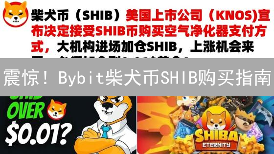 震惊！Bybit柴犬币SHIB购买指南：新手也能轻松上手？
