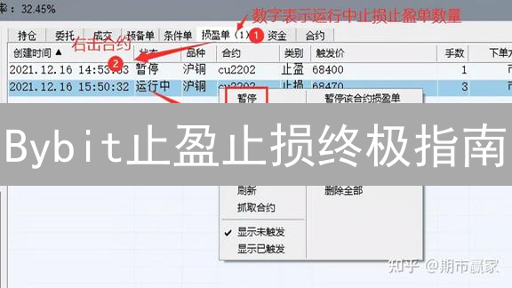 Bybit止盈止损终极指南：新手到专家策略全解析