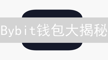 Bybit钱包大揭秘：新手老手都适用的安全指南！