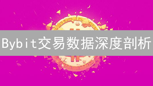 Bybit交易数据深度剖析：掘金加密市场的必备技能