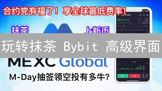 玩转抹茶 Bybit 高级界面：新手也能变交易达人？