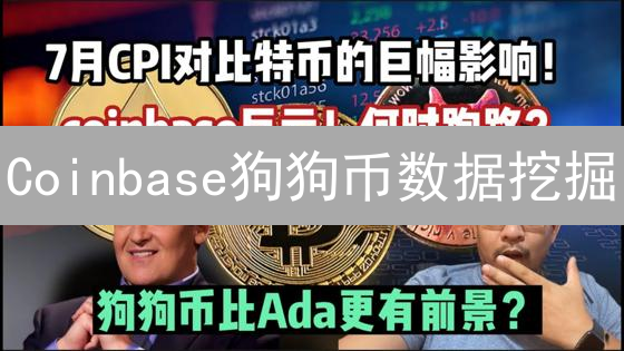 Coinbase狗狗币数据挖掘：历史交易分析与策略优化