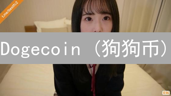 Dogecoin (狗狗币)：还能涨吗？2024 年社区合作与未来潜力深度分析！