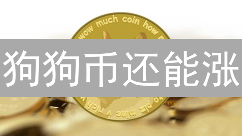 狗狗币还能涨？深度解析 Dogecoin 未来趋势！