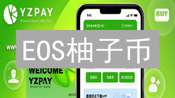 EOS柚子币：技术解析与未来挑战 - 深度剖析！