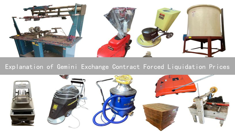 Explanation of Gemini Exchange Contract Forced Liquidation Prices
