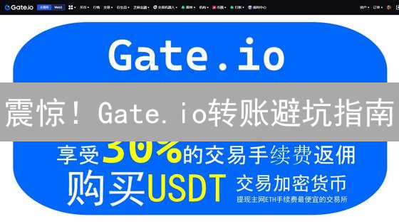 震惊！Gate.io转账避坑指南：99%的人都忽略的致命细节！