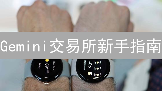 Gemini交易所新手指南：2024年快速买卖BTC/LTC！