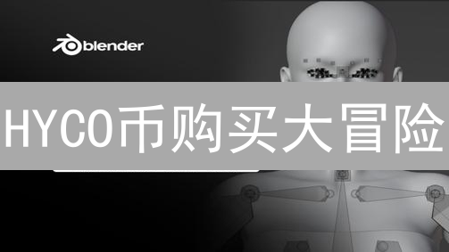 HYCO币购买大冒险：新手避坑指南？🚀