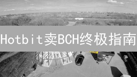 Hotbit卖BCH终极指南：避坑指南，新手也能轻松卖币？