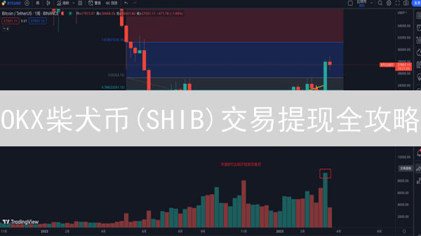 OKX柴犬币(SHIB)交易提现全攻略：新手必看！