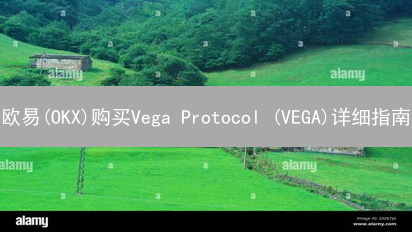 欧易(OKX)购买Vega Protocol (VEGA)详细指南