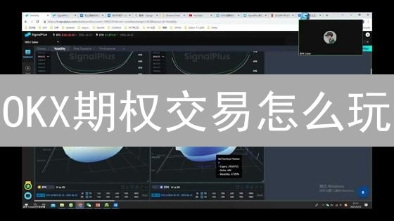 OKX期权交易怎么玩？新手必看杠杆策略与风险控制！