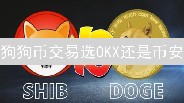 狗狗币交易选OKX还是币安？深度对比揭秘！
