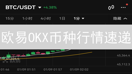 欧易OKX币种行情速递：实时掌握投资先机，稳赚不赔？