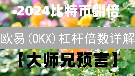 欧易(OKX)杠杆倍数详解：新手如何安全玩转高收益？