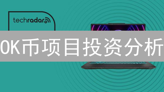 OK币项目投资分析：价值与风险深度剖析
