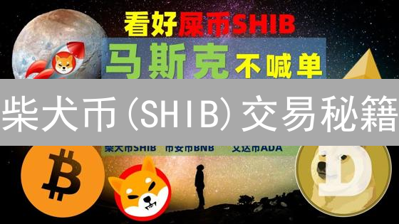 柴犬币(SHIB)交易秘籍：Coinbase手续费优化，告别高额费用！